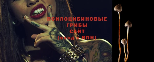 ГАЛЛЮЦИНОГЕННЫЕ ГРИБЫ Белокуриха